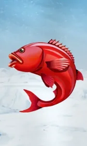 Ice Fishing